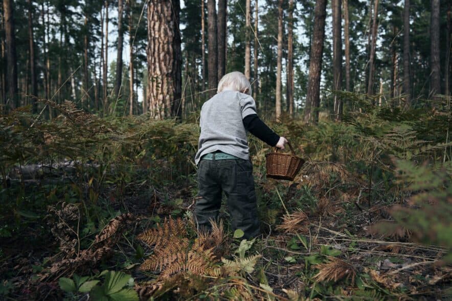 National Skills Week highlights the value of Australia’s care economy