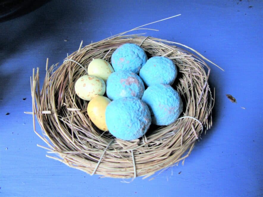 Government directs fee-free TAFE and more Uni places to ECEC to meet workforce demand