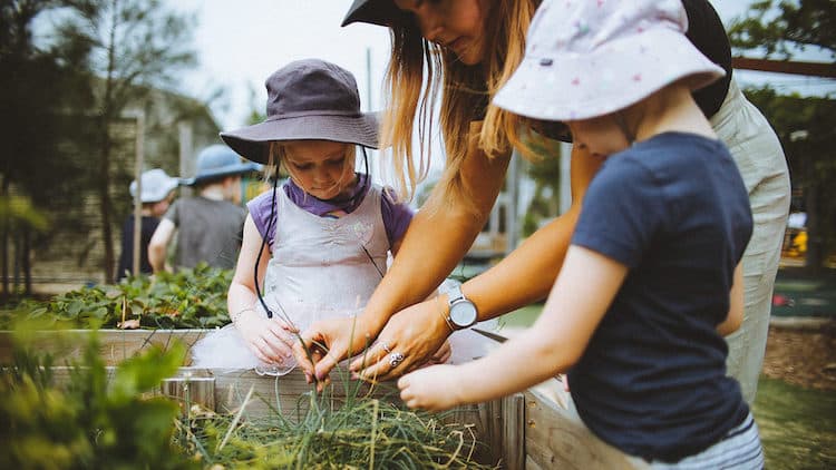 ECEC Provider in Focus – The Rumpus Room