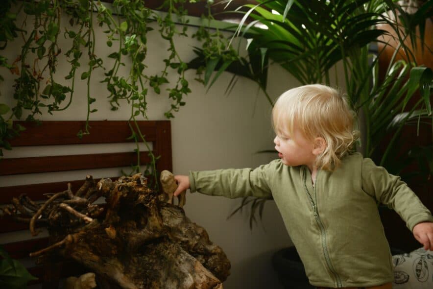 ECEC Provider in Focus – EVOKE Early Learning