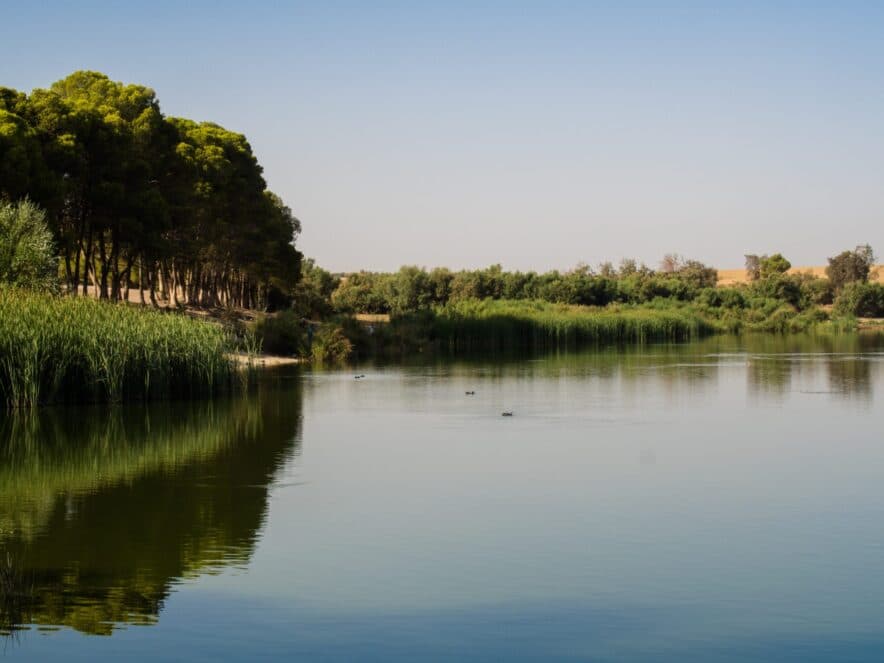 Gowrie NSW seeks to revive the ECEC sector with meaningful wellness event