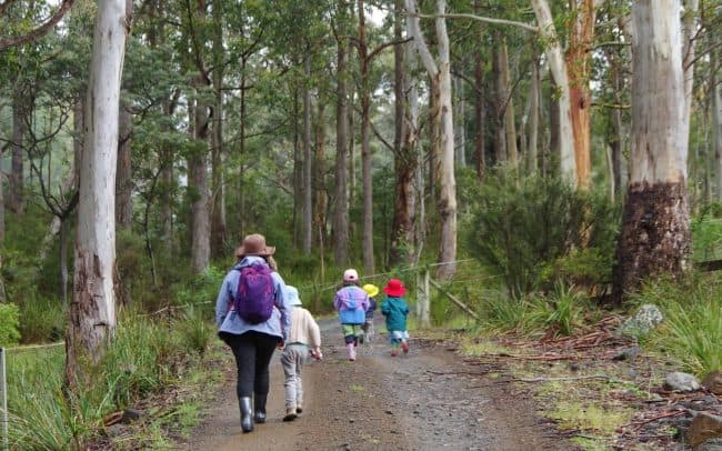 ECEC Provider in Focus – Adventure Patch