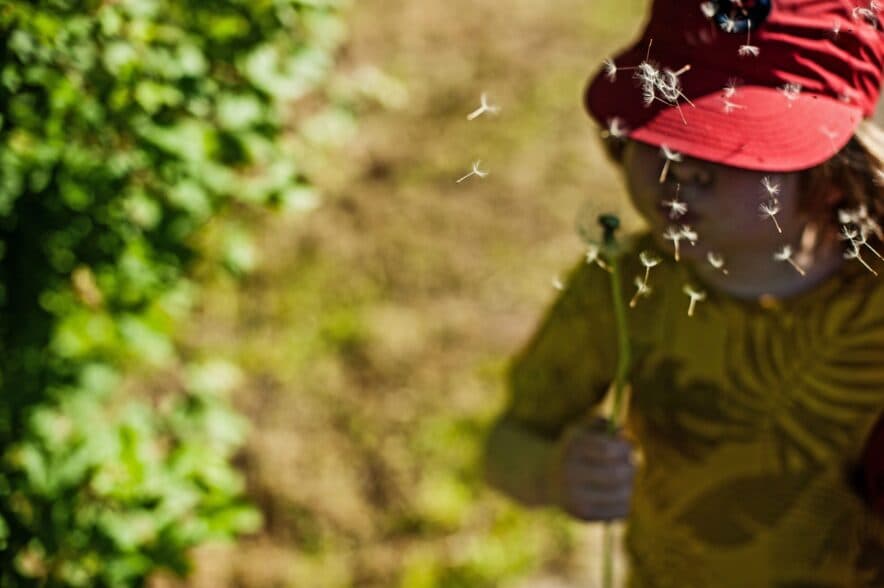 Magic Fronds Treeschool Heathcote proudly celebrating National Family Day Care Week