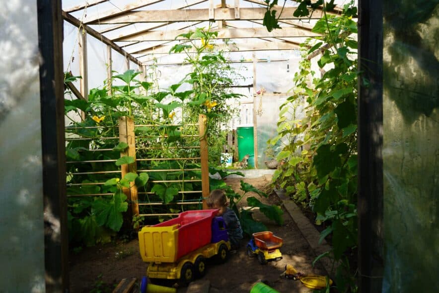 Knox City Council considers the future of its kindergarten services