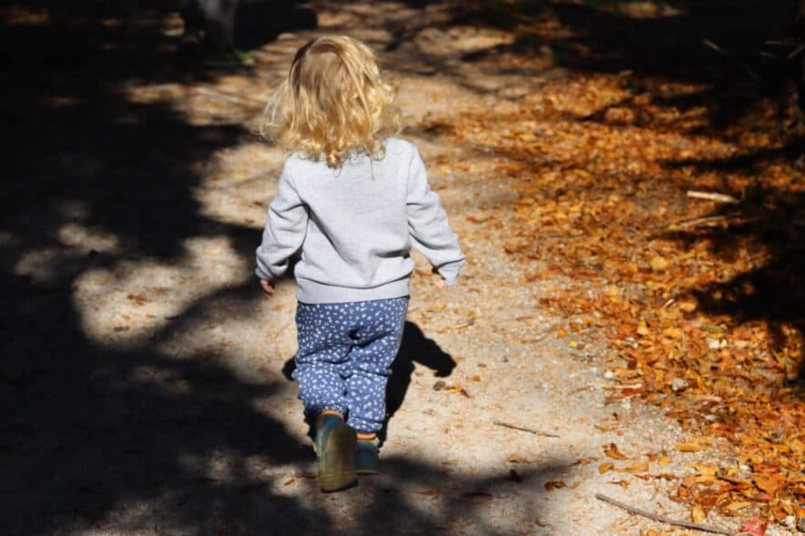 Victorian Budget makes provision for new resources for ECEC and kinder