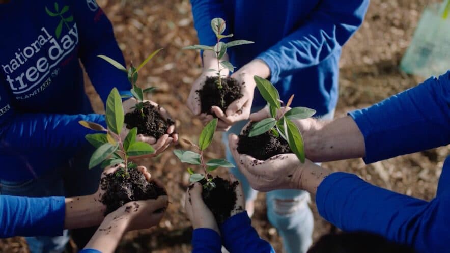 National Tree Day for ECEC to take place tomorrow – how can you get involved?