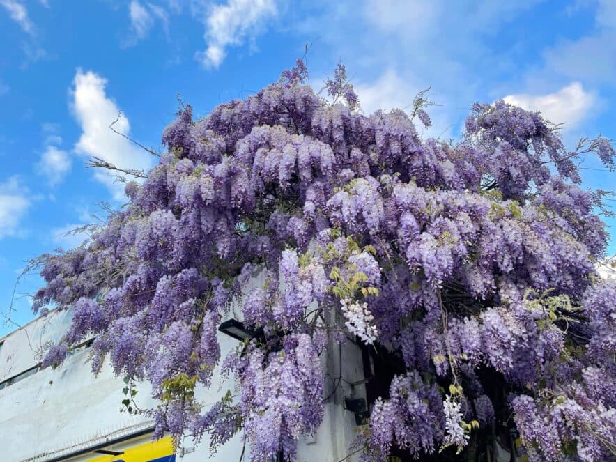 Stitt visits Kurmboon Child and Family Centre to announce more Building Blocks funding