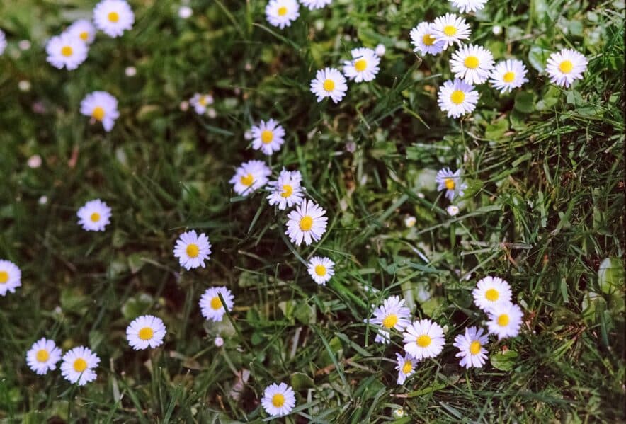 Link between screen time at 1yo and developmental delays later in childhood