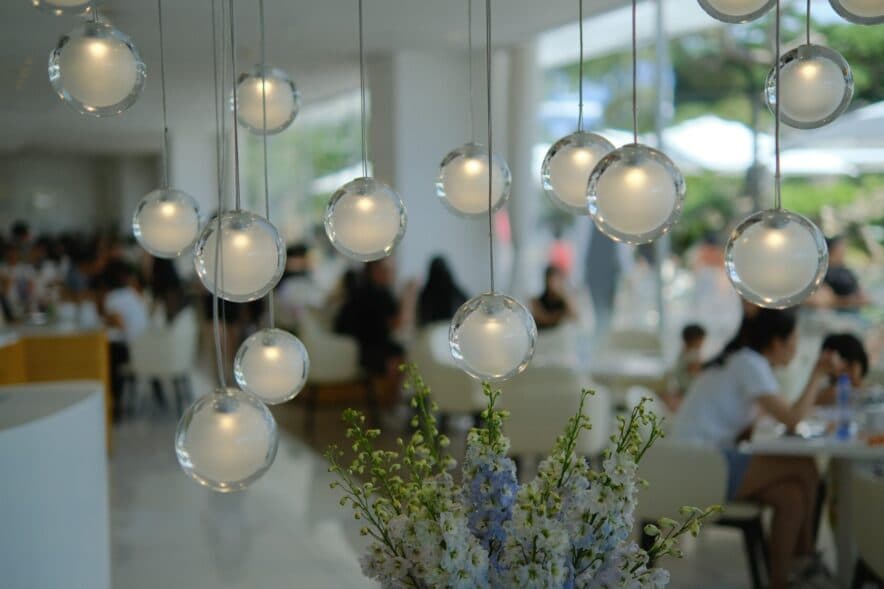 More than ½ of Australia believes free Uni and TAFE will solve skills shortages