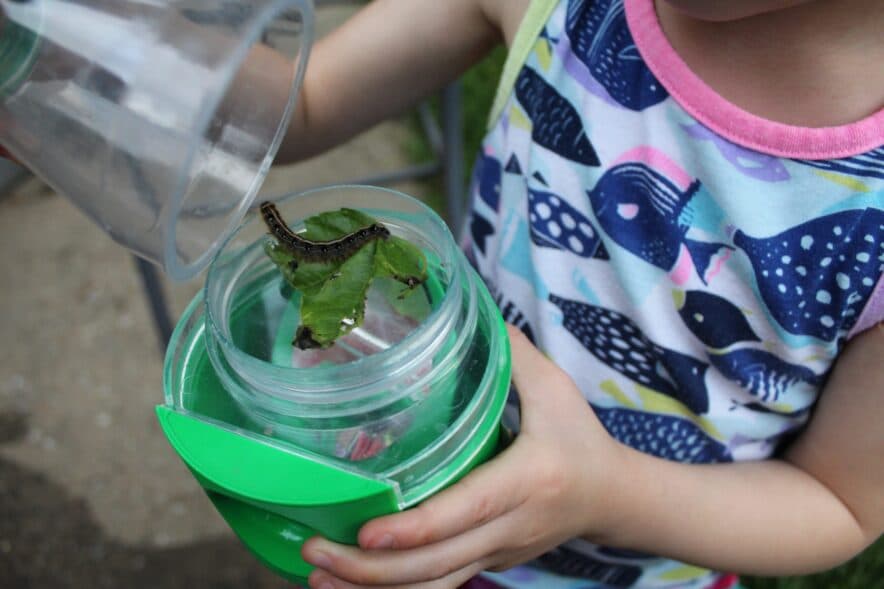 Victorian Liberals and Nations announce Shadow Cabinet as state gets new Premier