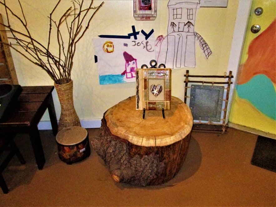 SA makes pivotal appointment to drive early learning reform