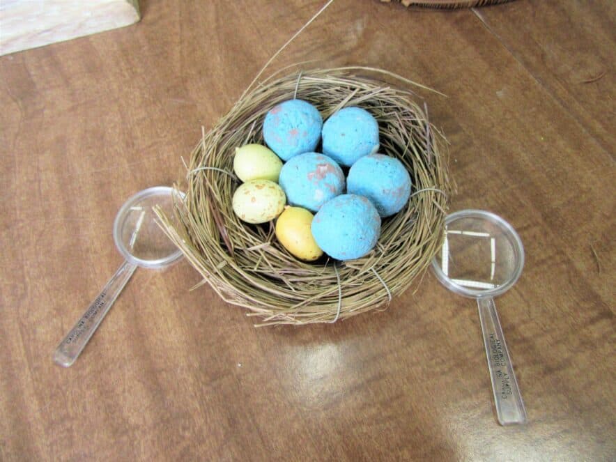 Young children’s brains are inherently designed to be playful, author says