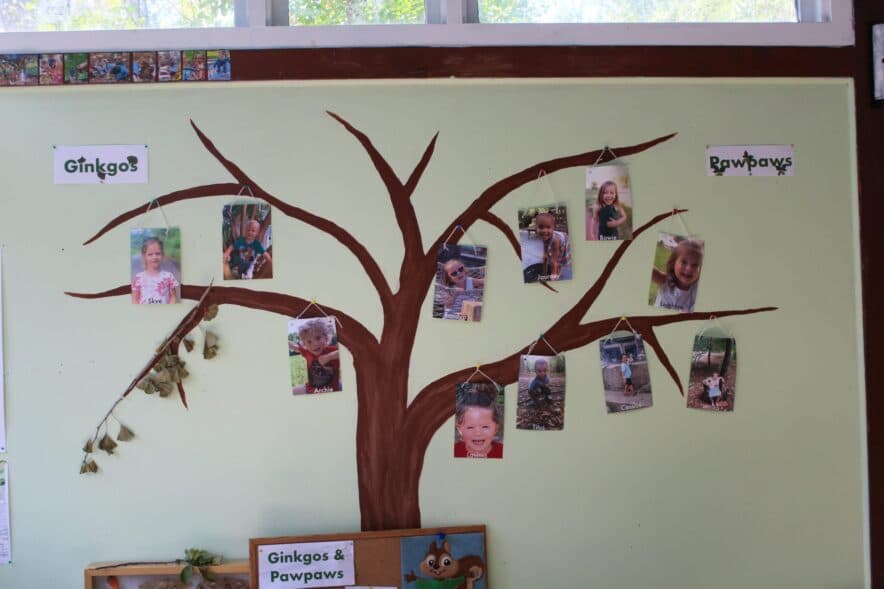 Teamwork is the foundation of ECEC – how to build, nurture and polish it