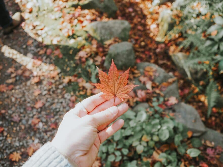 QFCC calls for reform to kinship caring arrangements for First Nations children