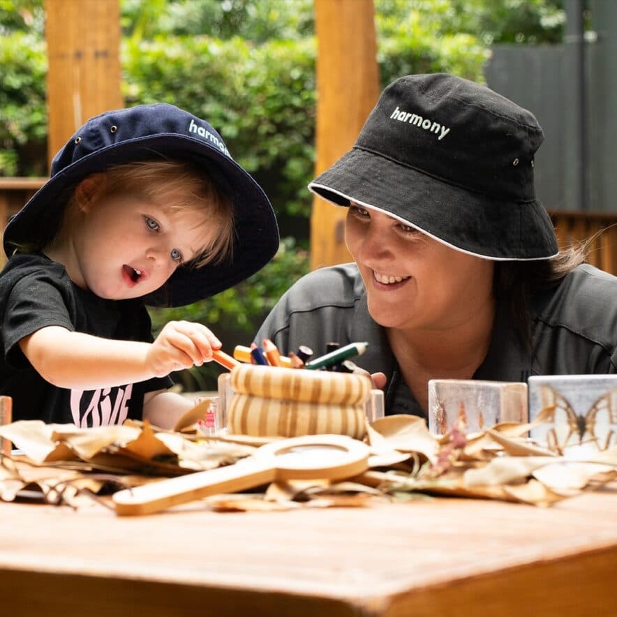 Finessing the festive frenzy: Harmony Early Learning Journey shares tips