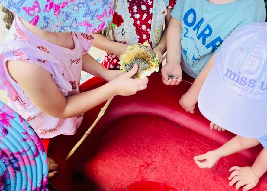 Happy Trails ELC shows that Kitchen Gardens can thrive, even in the tropics