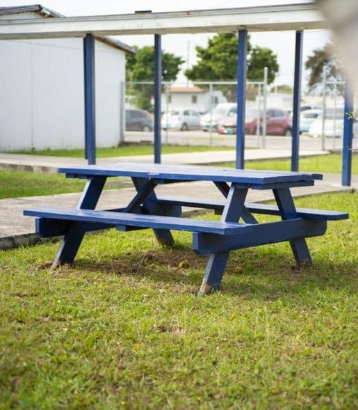 ECEC popular course choice for Fee Free TAFE enrolments in 2024