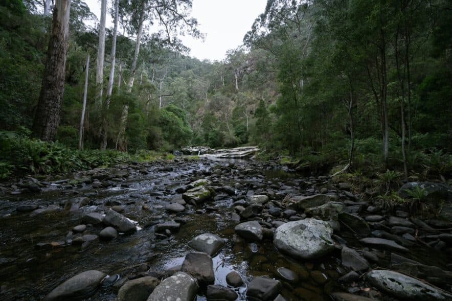 Bush Kinder grants now available to support Victorian services