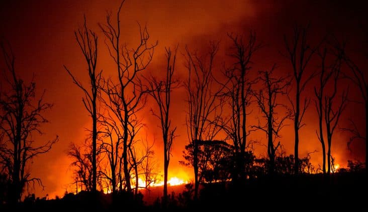 Supporting children, families and educators during natural disasters