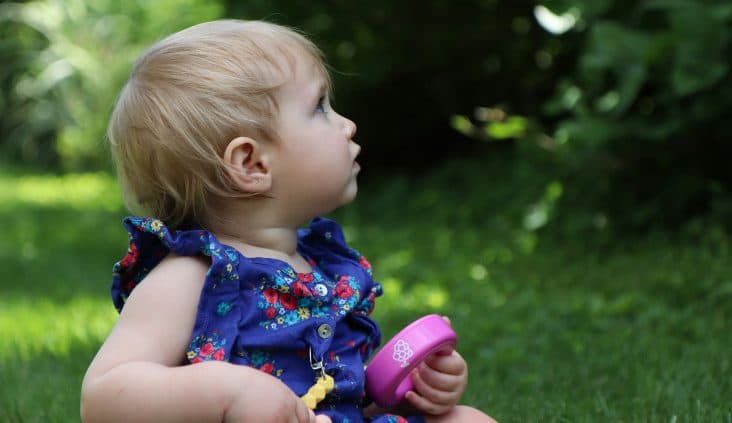 Have Your Say: NSW Review of the Working with Children Check, shaping child safety laws