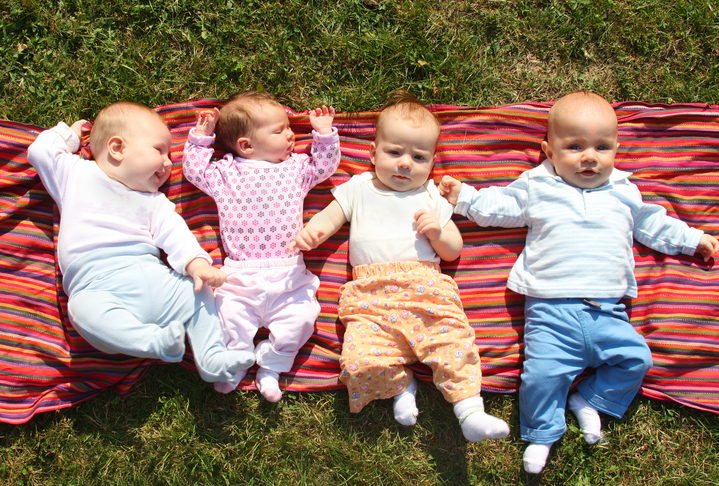 Babies thrive in groups, new CSU book outlines 